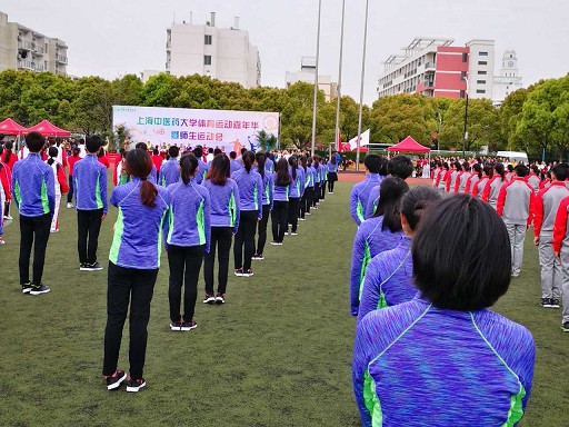 学院师生同台 运动会展风采