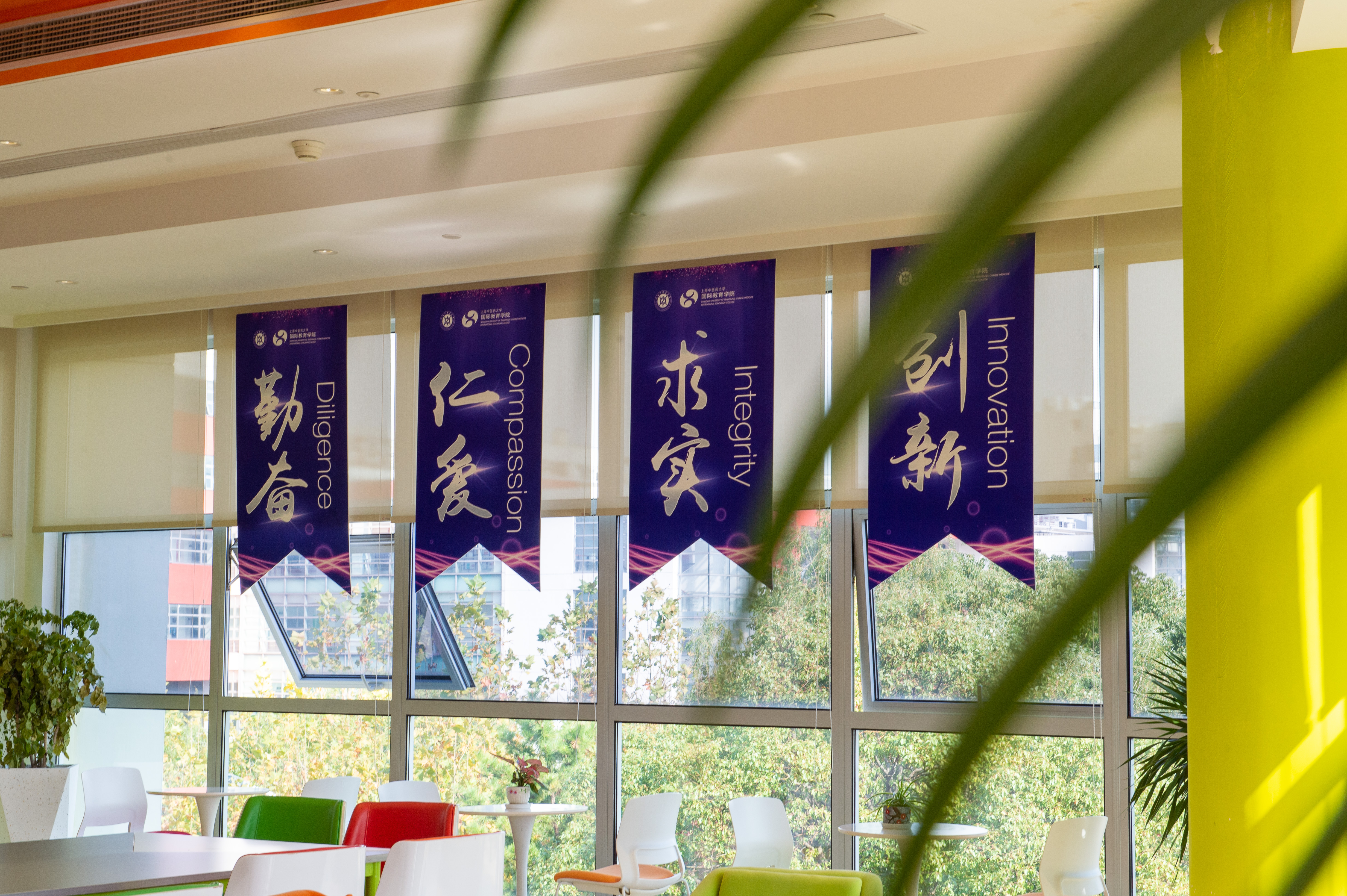 韶华许国，戎装献礼，杏林学子将青春誓言刻进强军征程